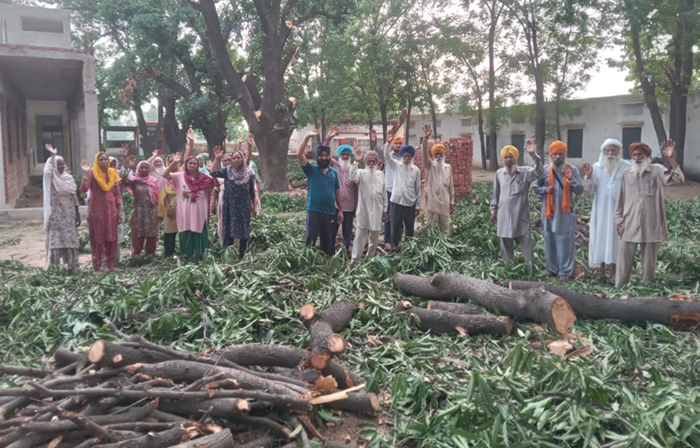 Shade and fruit trees were pruned, which was opposed by the village Vasia